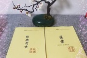 倪海厦医案100高血压头晕,倪海厦医案100高血压