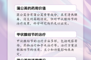 蒲公英茶可以治疗甲状腺结节吗蒲公英泡茶喝对甲状腺结节有效果吗