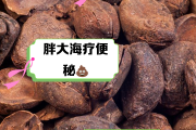 胖大海的作用和功效以及禁忌,胖大海的作用