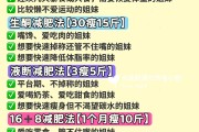 减肥方式科学的健身减肥方式