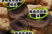 陈皮与桔子皮的区别,自己晒的橘子皮有用吗