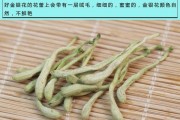 金银花目前什么价位金银花的市场价格是多少钱
