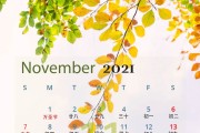 日历日历表2022日历11月