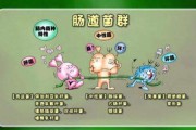 肠道菌群紊乱吃什么药效果好,肠道菌群