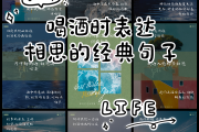 表达酒后感慨的句子,酒后感概的句子