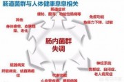 如何看待肠道菌群?对人体健康有什么影响? 如何看待肠道菌群?对人体健康有什么影响?
