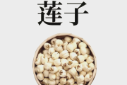 莲子的功效,莲子的功效与作用及营养价值