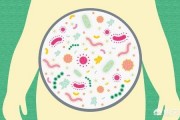 吃什么有益于保持体内肠道菌平衡？