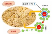 消化酶,消化酶不足的10个表现 消化酶,消化酶不足的10个表现