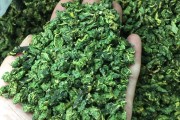 桑叶茶能降高血糖吗,桑叶茶 桑叶茶能降高血糖吗,桑叶茶