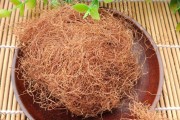 玉米须茶的功效与作用玉米须茶的功效与作用减肥 玉米须茶的功效与作用玉米须茶的功效与作用减肥