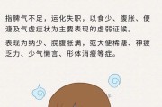 脾虚,脾虚湿气重肝火旺气血不足怎么调理