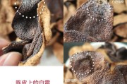 陈皮的好坏怎样鉴别,陈皮的好坏怎样鉴别?红皮好还是青皮好