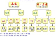 张孟超中医个人网站,孟超医生简介 个人资料