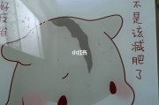 减肥期间,减肥期间晚餐吃什么最容易掉秤