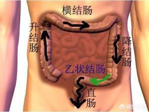 肠道堵塞怎么办<strong>肠道</strong>？