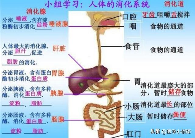 如何判断自己的胃病是否严重<strong>胃炎</strong>？