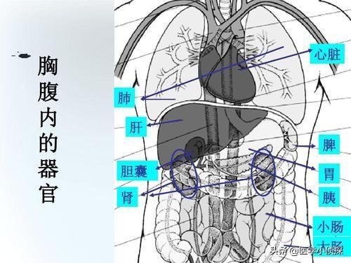 如何判断自己的胃病是否严重<strong>胃炎</strong>？