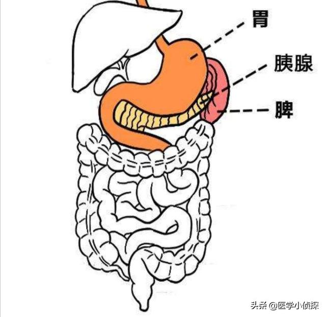 如何判断自己的胃病是否严重<strong>胃炎</strong>？