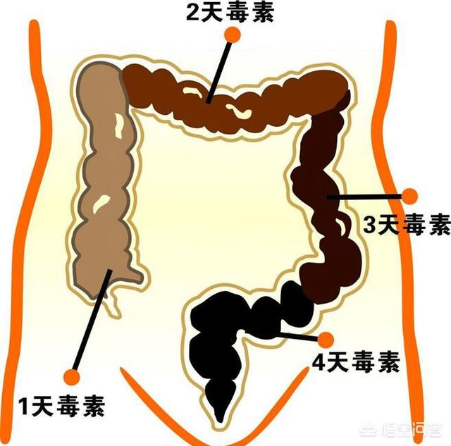 什么是肠炎<strong>肠胃炎</strong>？