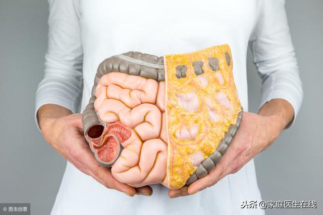 欲长寿先“肠”寿<strong>肠道</strong>，改善肠道功能，需要坚持3件事