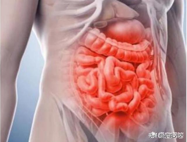 肠炎是怎么引起的<strong>肠炎</strong>？