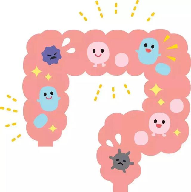 胃寒<strong>肠胃炎</strong>，有肠胃炎，炖什么食物能调理？