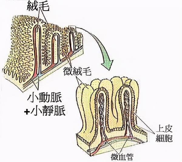 健康