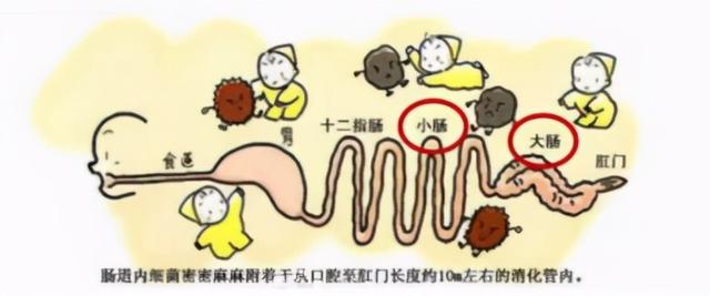 健康