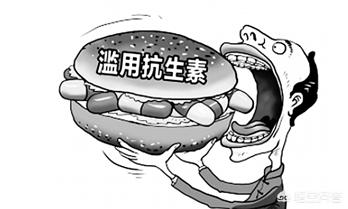 生活中<strong>肠道</strong>，肠胃不好的人，应该多吃哪些食物，注意哪些问题？