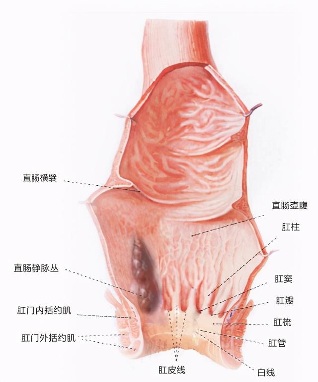 健康