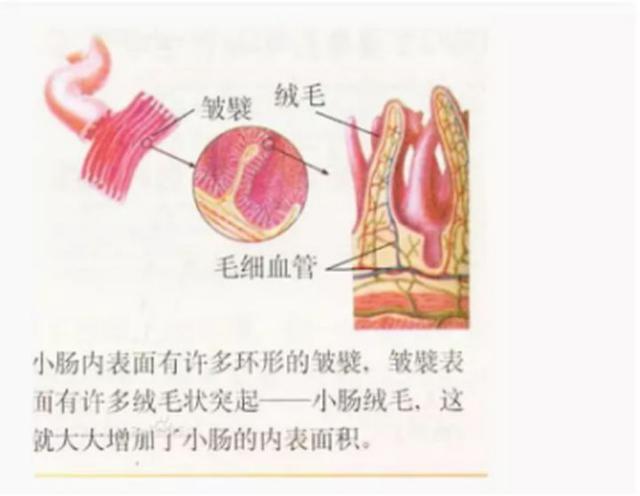 健康