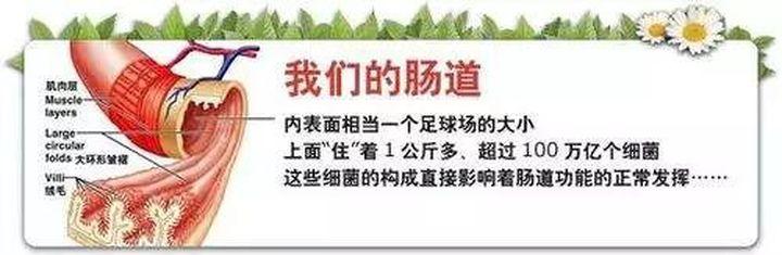 健康
