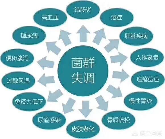 该怎么养护肠道<strong>肠道</strong>？