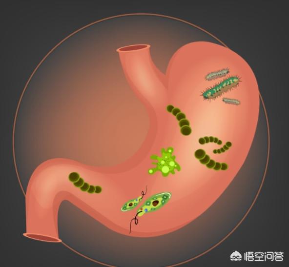 生活中<strong>肠道</strong>，肠胃不好的人，应该多吃哪些食物，注意哪些问题？