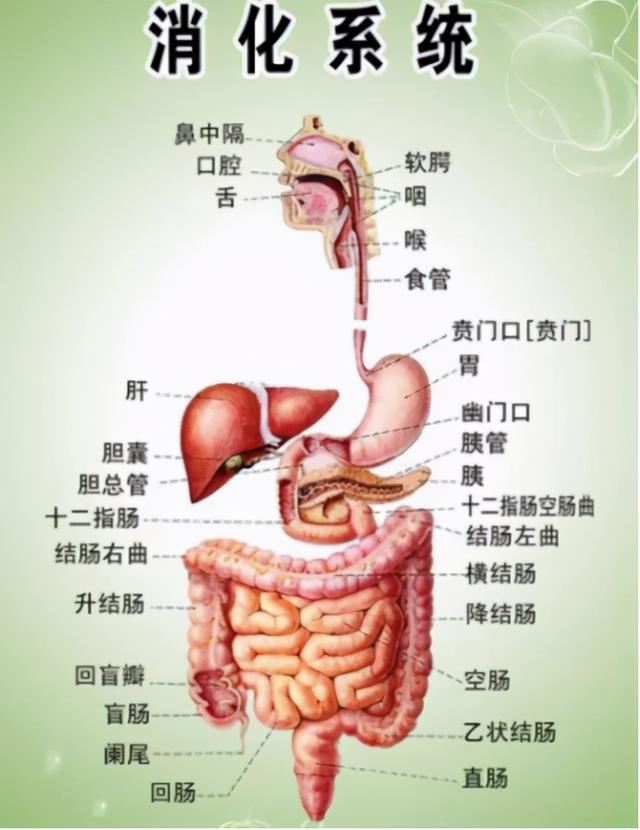 健康