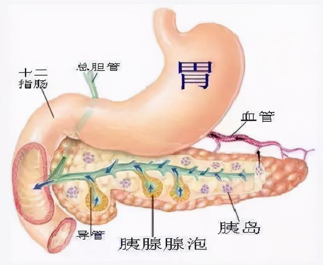 健康