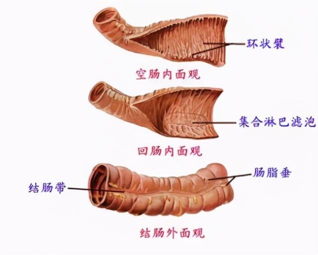 健康