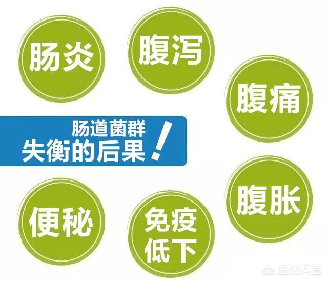 该怎么养护肠道<strong>肠道</strong>？