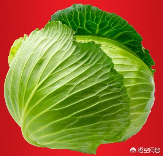 生活中<strong>肠道</strong>，肠胃不好的人，应该多吃哪些食物，注意哪些问题？