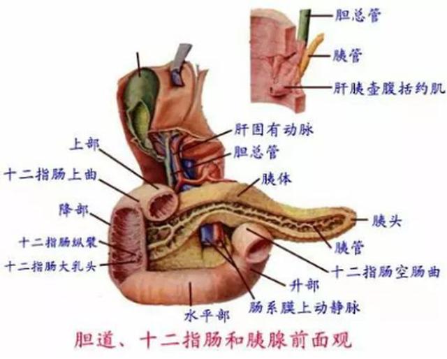 健康