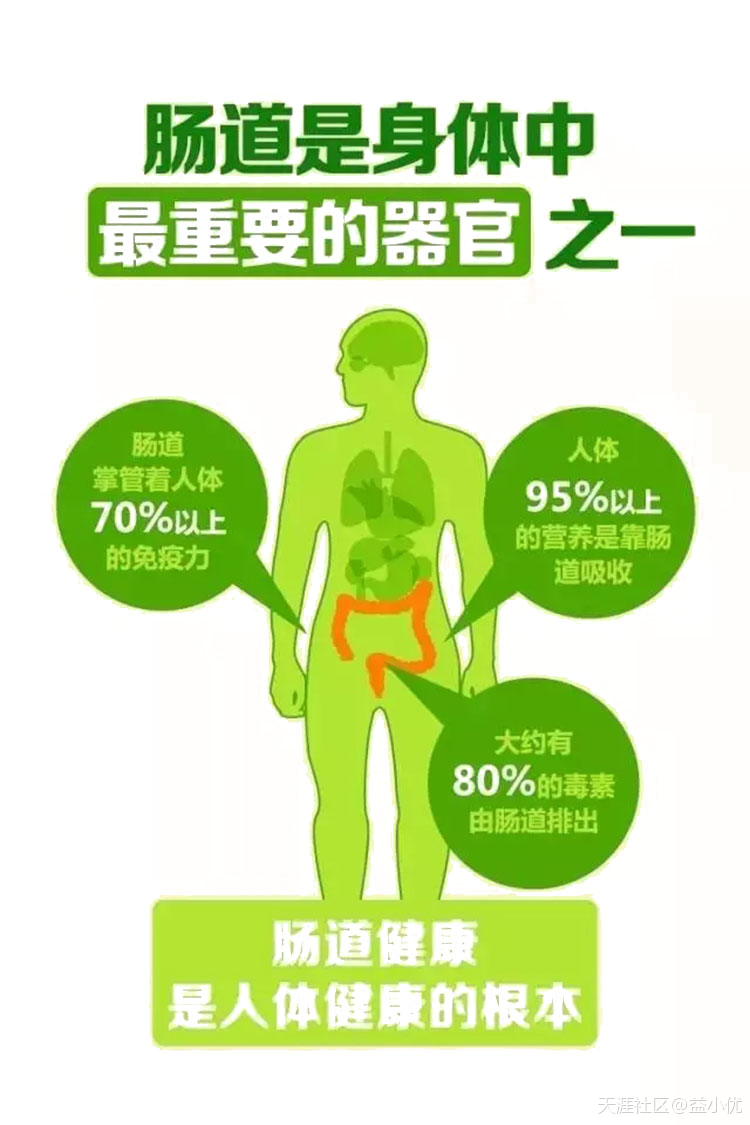 肠道健康是人体健康的根本<strong>肠道</strong>，你有没有好好关心过你的肠道君？