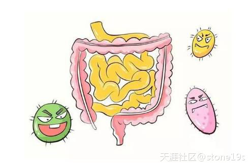 有些人明明才30岁<strong>肠道</strong>，肠道年龄却60岁