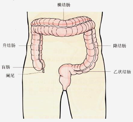 什么叫结肠炎<strong>肠炎</strong>？