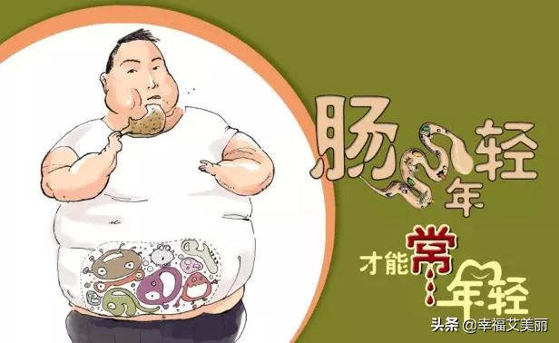 吃什么能提高肠道的健康程度呢<strong>肠道</strong>？