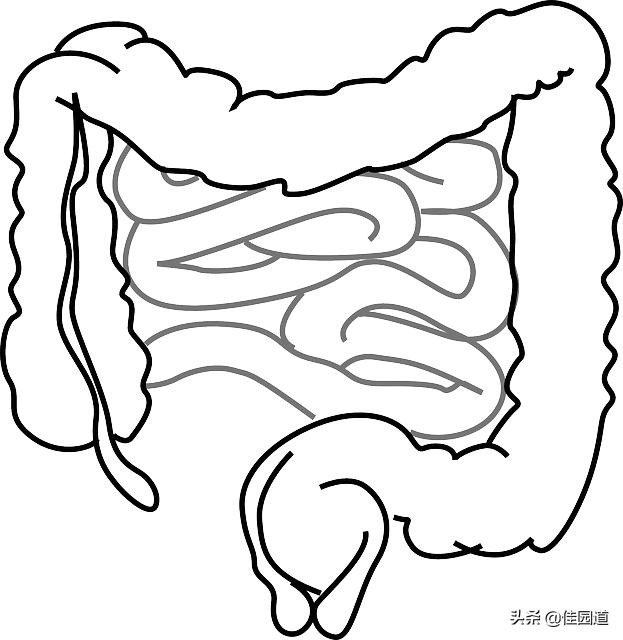 肠胃隐痛<strong>肠道</strong>，什么原因？