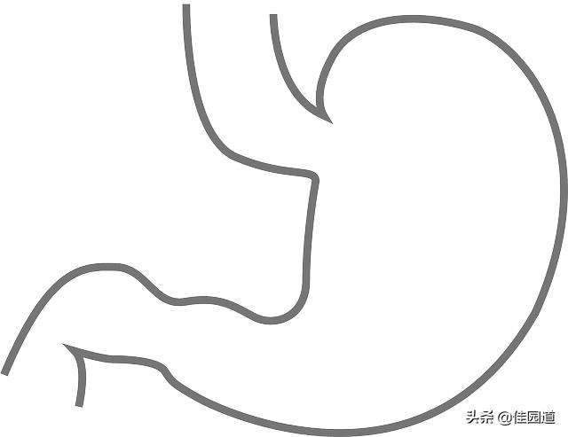 肠胃隐痛<strong>肠道</strong>，什么原因？