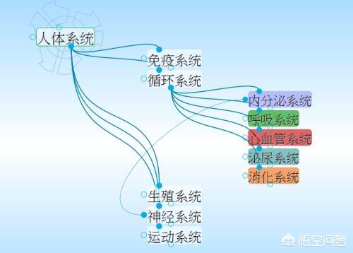 胃不好有什么症状?胃病常见病因及症状是什么?该如何治疗和护理<strong>胃病</strong>？