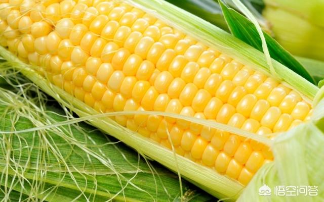 减肥时吃什么东西最好<strong>减肥食谱</strong>？