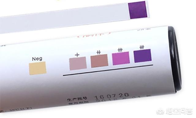 有哪些不错的减肥食谱和运动时间表推荐<strong>减肥食谱</strong>？